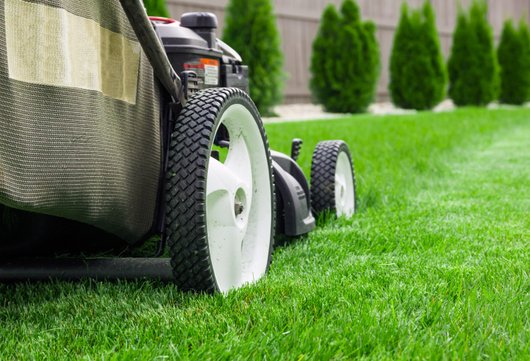 Spring lawn cutting new arrivals